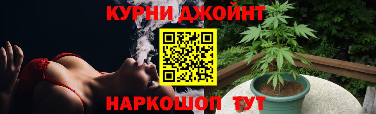 Шишки марихуана конопля  Шишки марихуана план  Невинномысск 